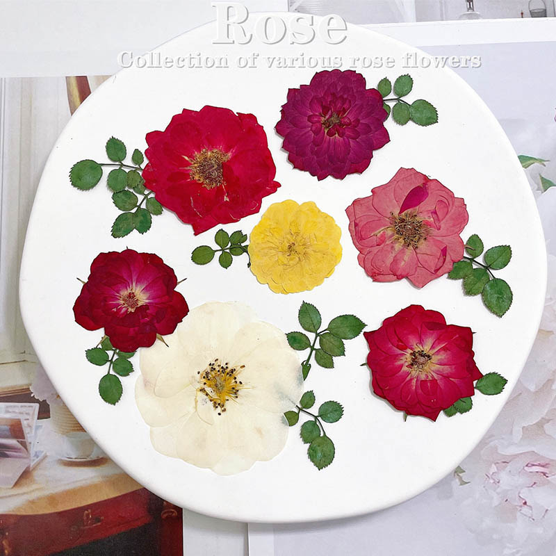 Dried Flower Bookmark - 60 adet Preslenmiş Kurutulmuş Kırmızı Sarı
