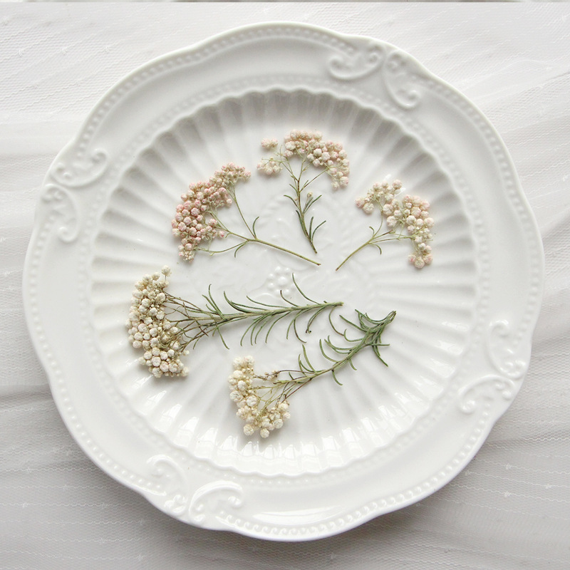 Dried Flower Bookmark - 12 adet, Doğa Darı Çiçek Dalları,