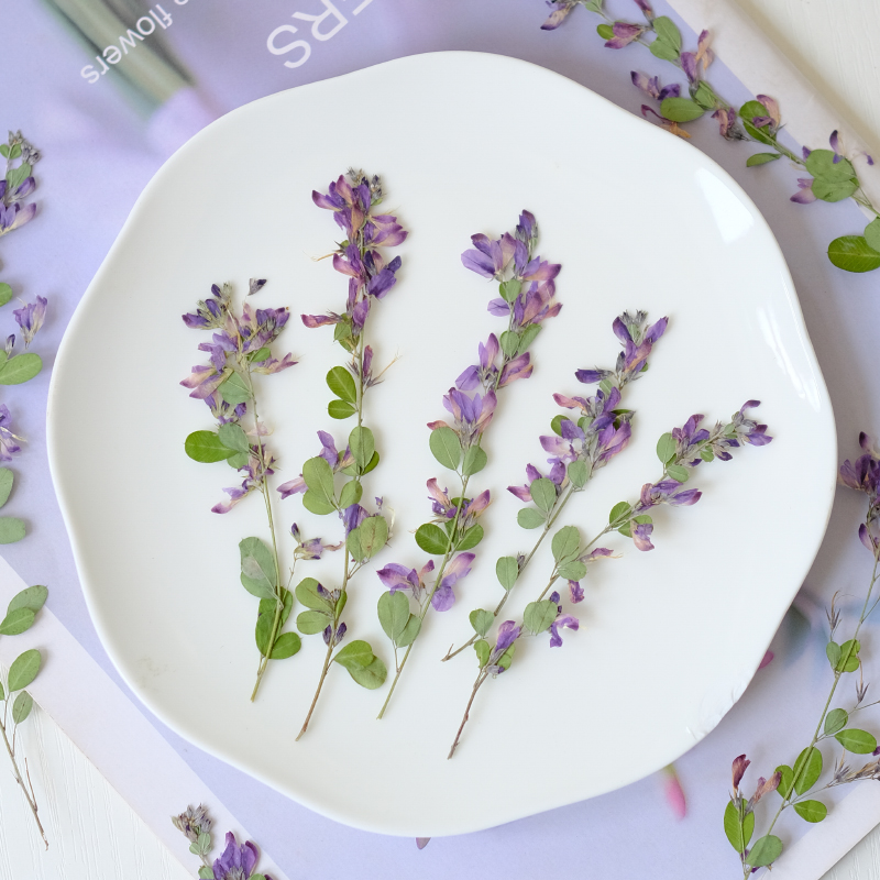 6 adet, doğa Lespedeza Formosa - Dried Flower Bookmark incelemesi ve fiyatı