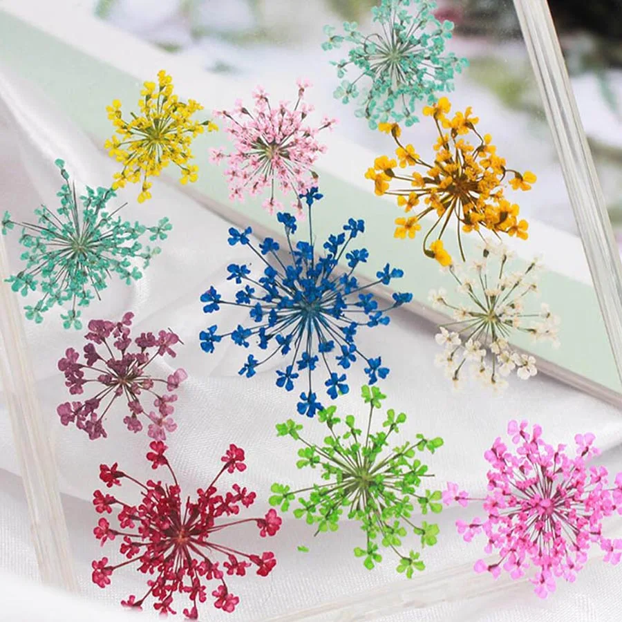 60 adet Preslenmiş Kurutulmuş  - Dried Flower Bookmark incelemesi ve fiyatı