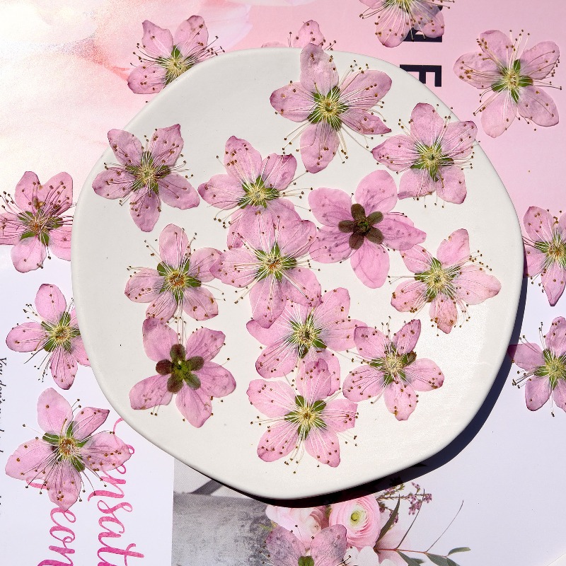 3-4cm./6 adet, Pembe Şeftali Ç - Dried Flower Bookmark incelemesi ve fiyatı