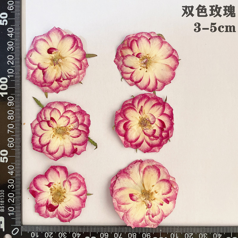 60 adet Preslenmiş Kurutulmuş  - Dried Flower Bookmark incelemesi ve fiyatı