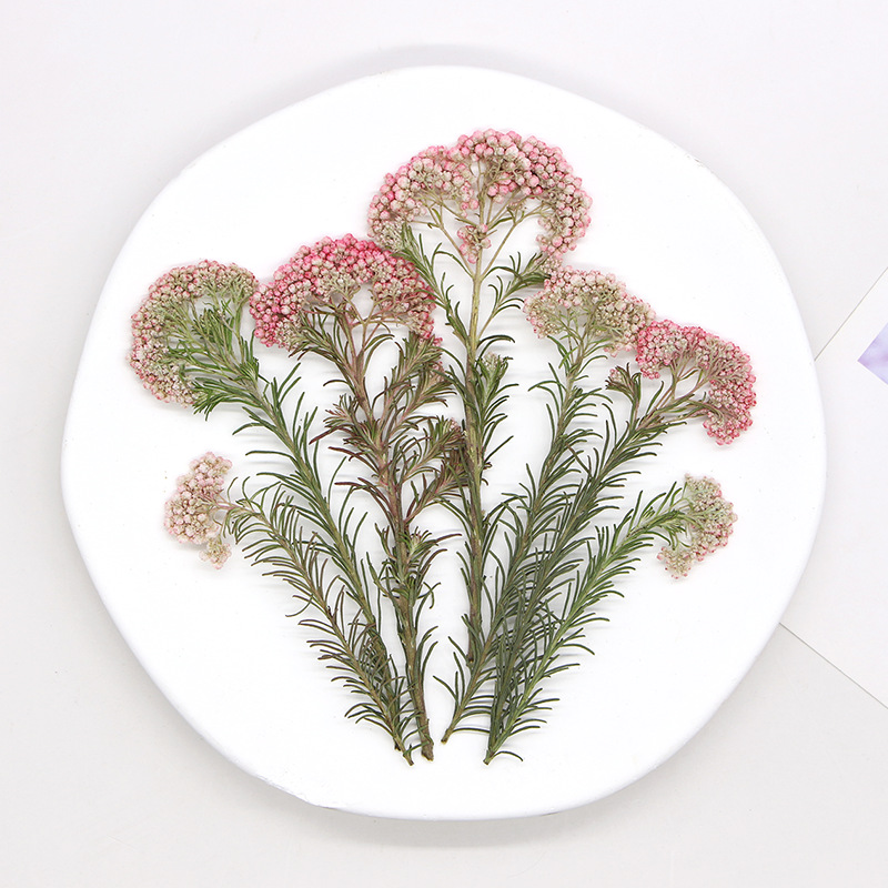 12 adet, Doğa Darı Çiçek Dalla - Dried Flower Bookmark incelemesi ve fiyatı