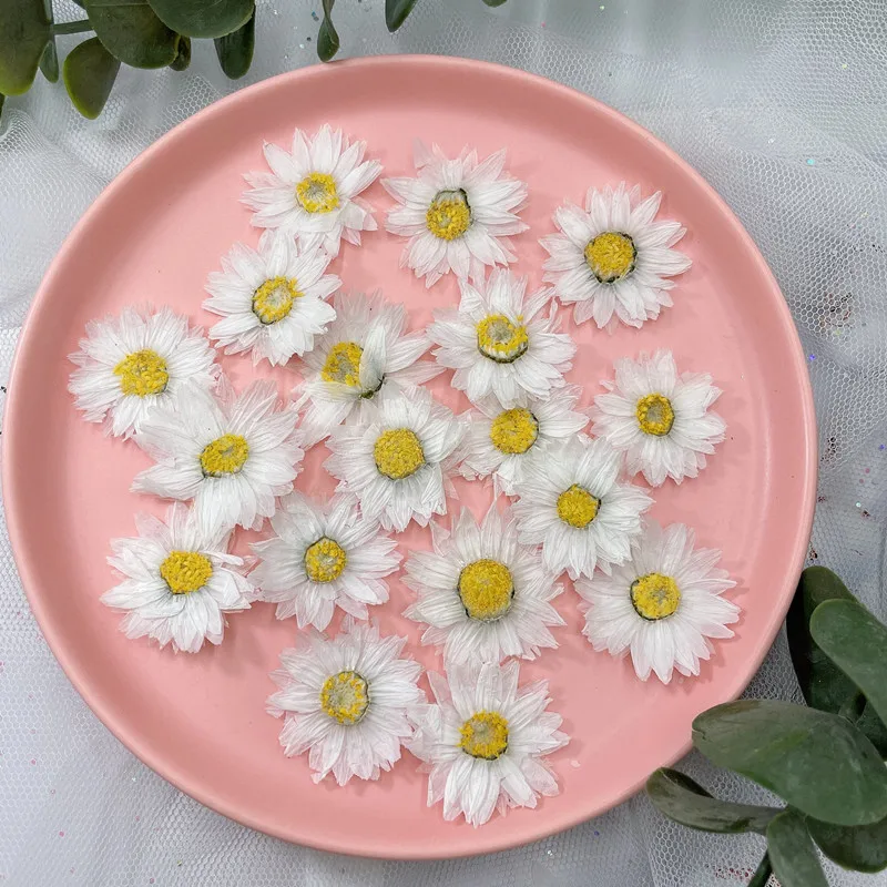 24 adet/2-4CM, doğal preslenmi - Dried Flower Bookmark incelemesi ve fiyatı