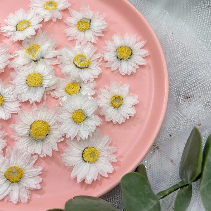 24 adet/2-4CM, doğal preslenmi - Dried Flower Bookmark incelemesi ve fiyatı