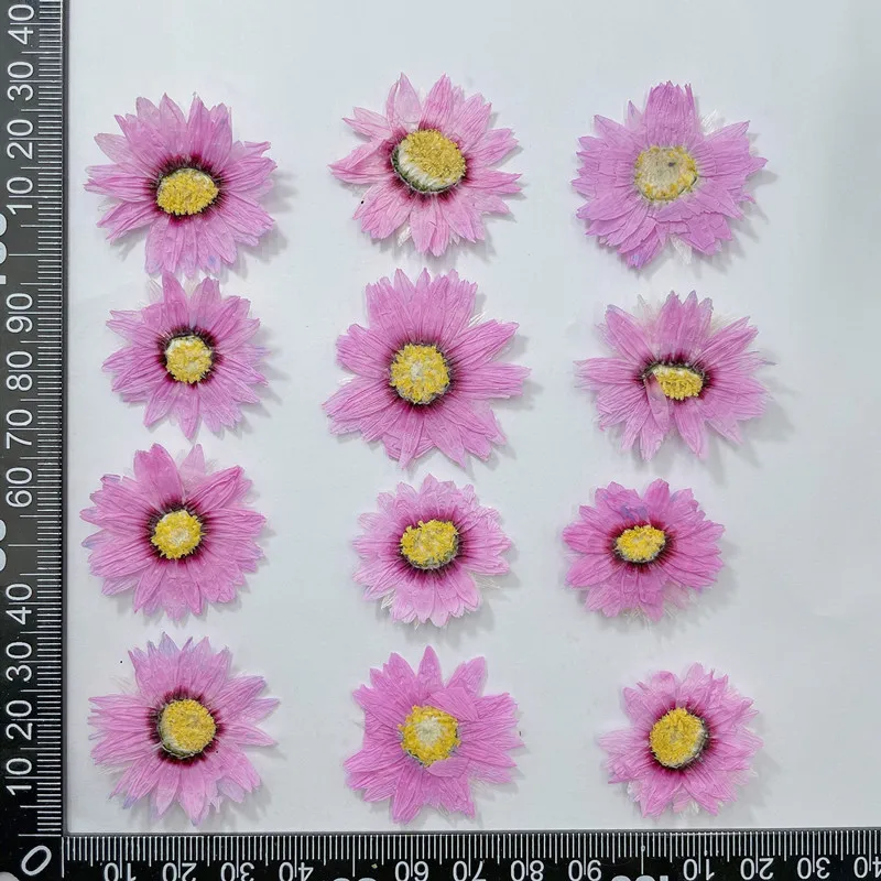 24 adet/2-4CM, doğal preslenmi - Dried Flower Bookmark incelemesi ve fiyatı