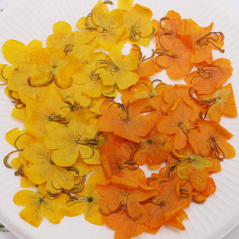 60 adet Kurutulmuş Preslenmiş  - Dried Flower Bookmark incelemesi ve fiyatı